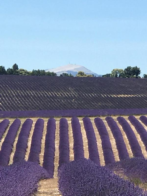 Villa Au Pied Du Ventoux Mormoiron ภายนอก รูปภาพ